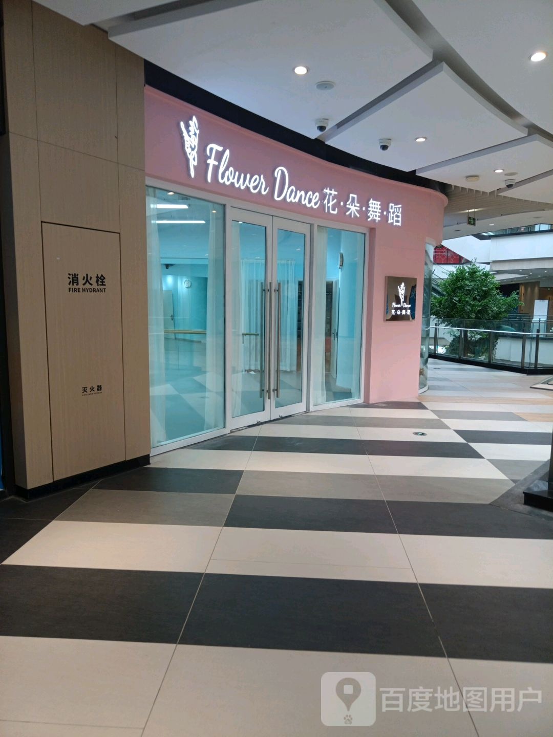 花朵舞蹈(普陀绿地缤纷城店)