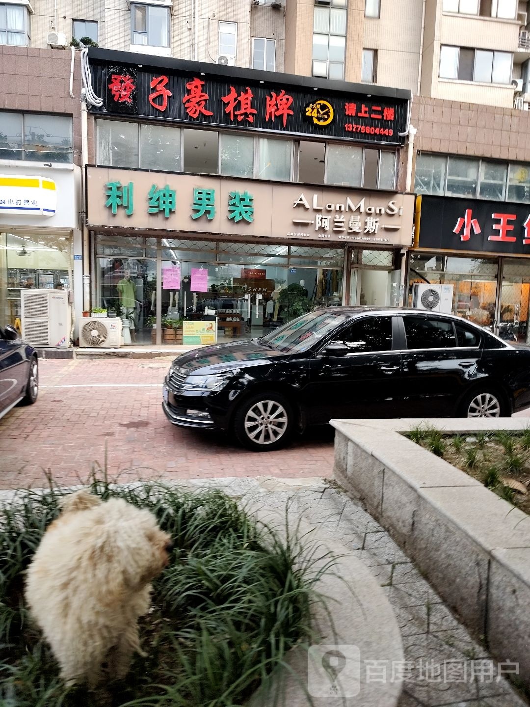 子豪棋牌
