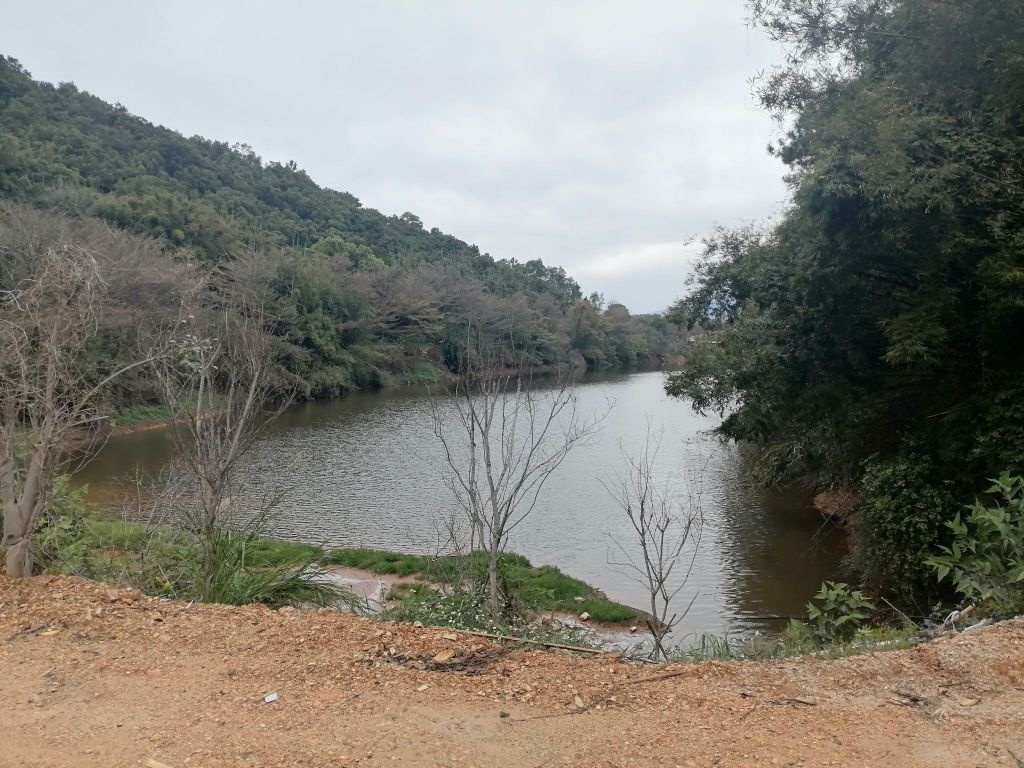 肇庆高尔夫逸趣山庄(肇庆市高尔夫球训练基地)