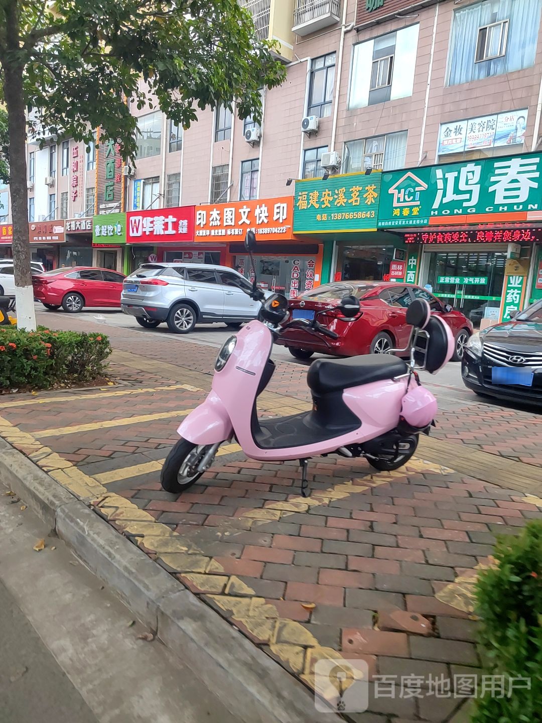 福建安溪茗茶(见龙大道店)