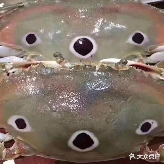 阿强海鲜(河南岸市场店)