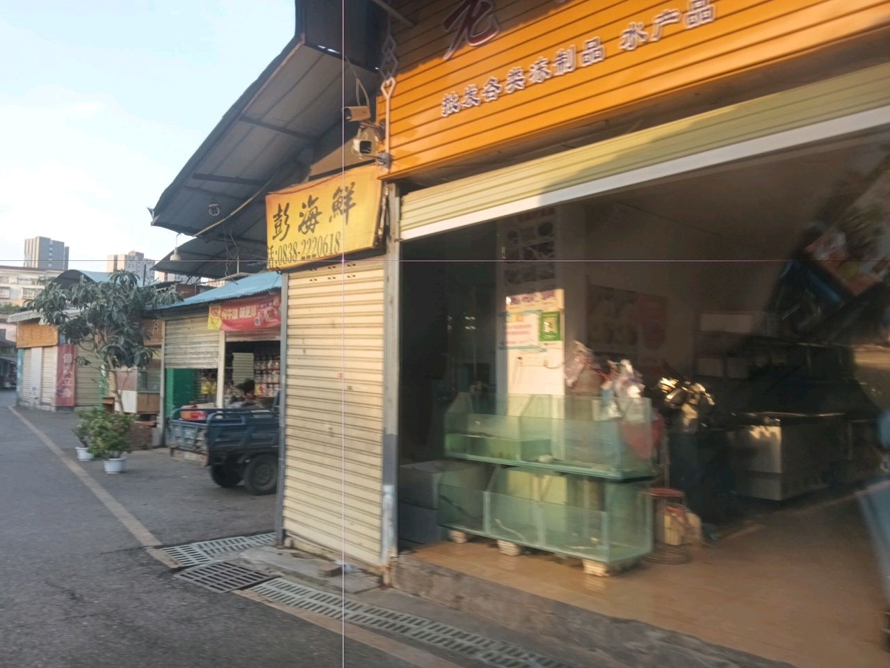 彭海鲜