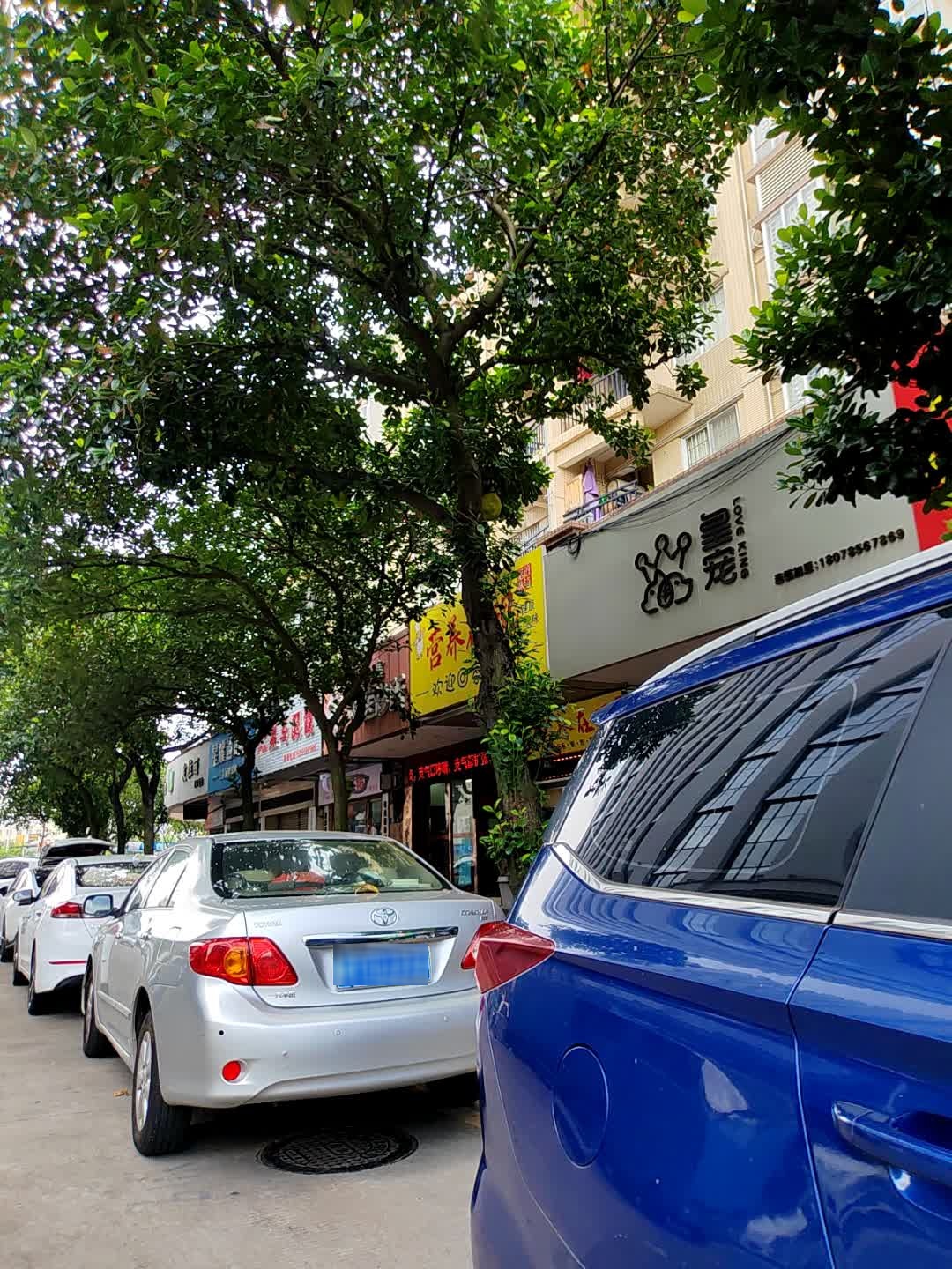 皇宠宠物连锁(广合花园店)