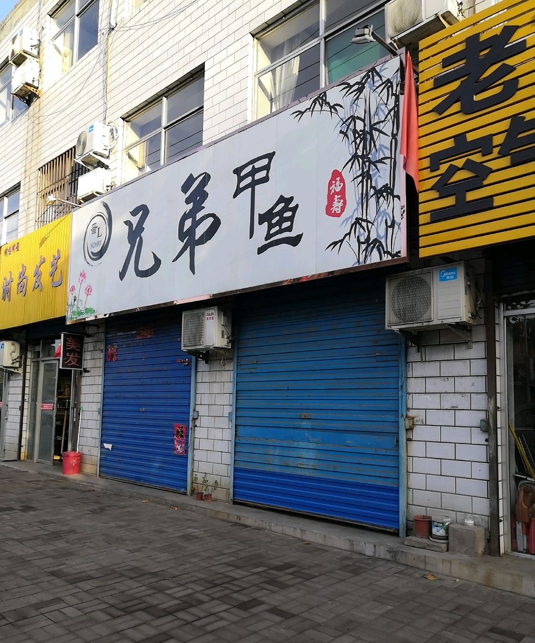 晋L兄弟甲鱼