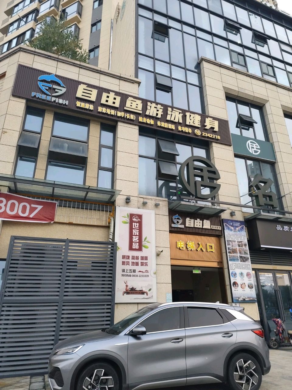 自由鱼游泳健身