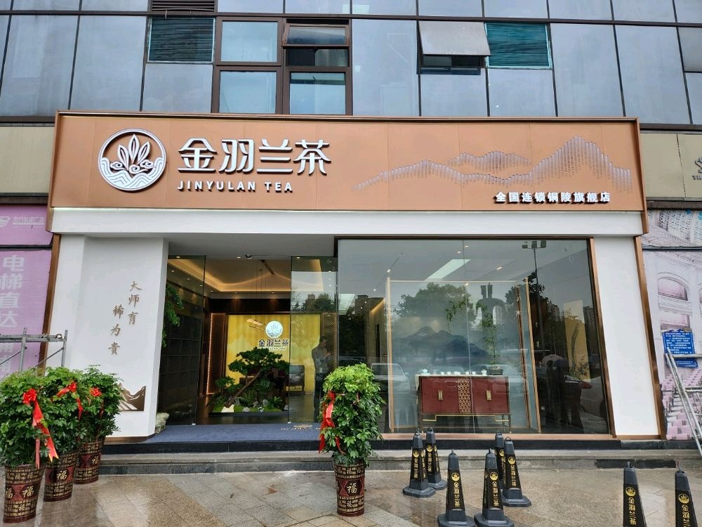 饪羽钺瓯金兰茶