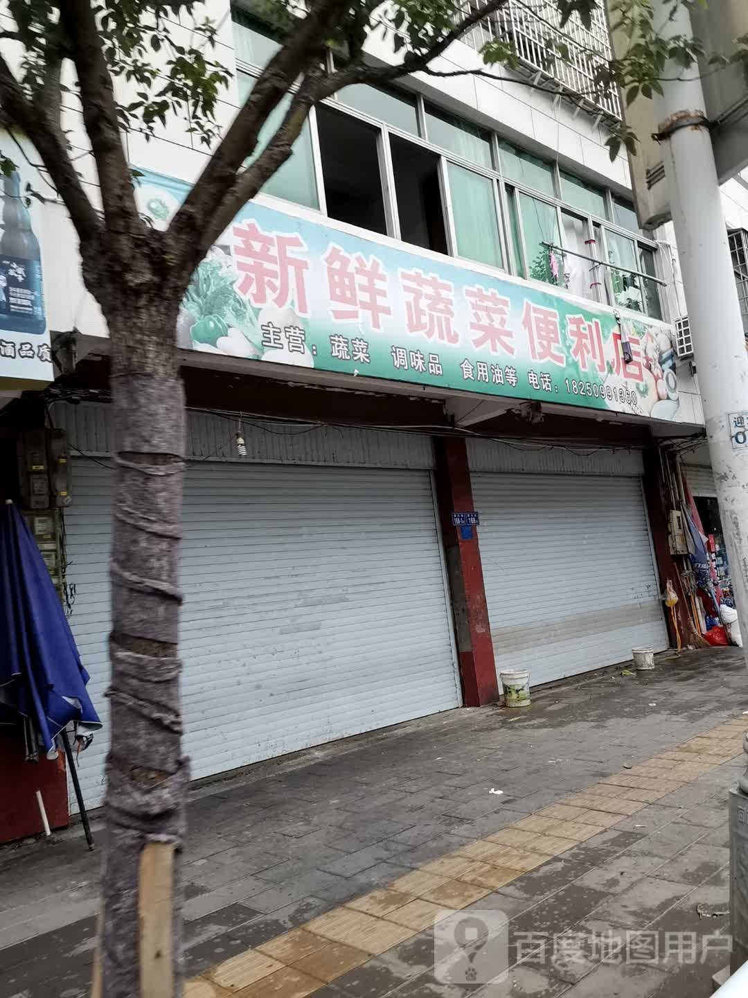 卖新蔬菜便利店