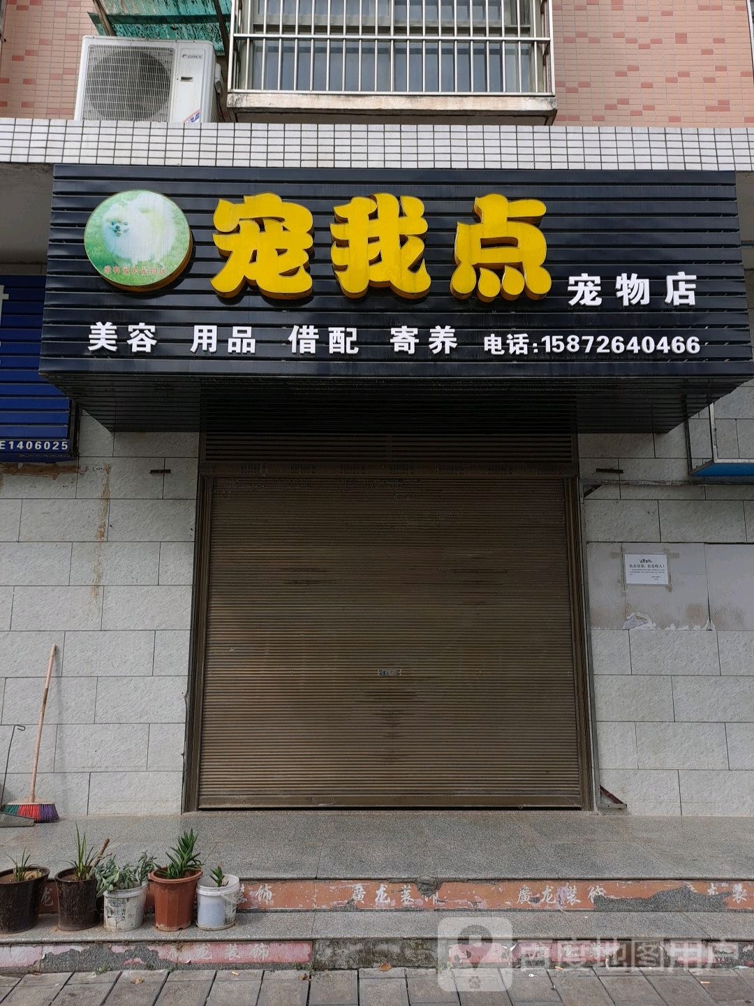宠我点宠物店