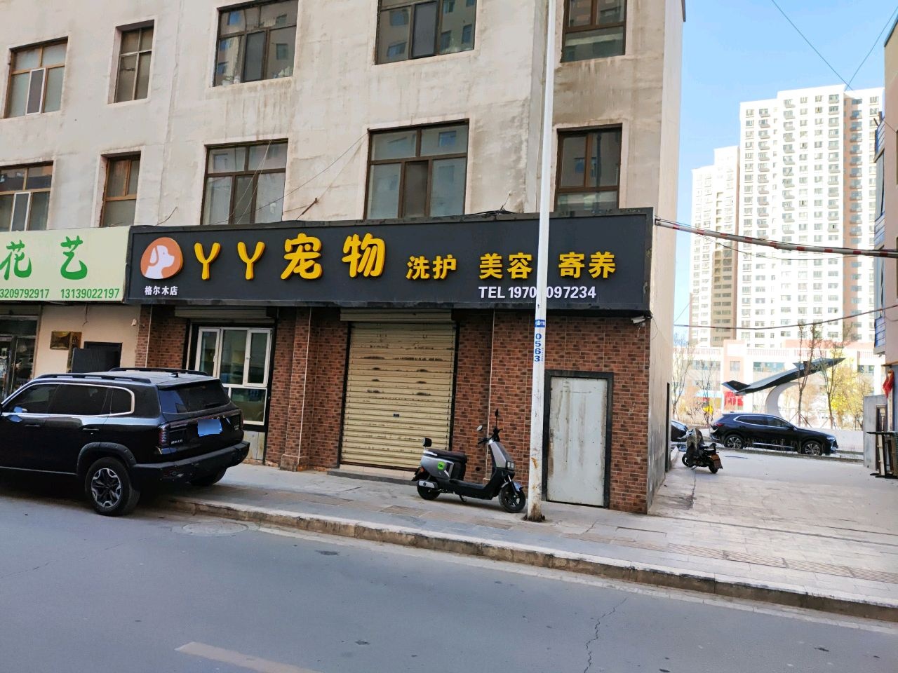 YY宠物