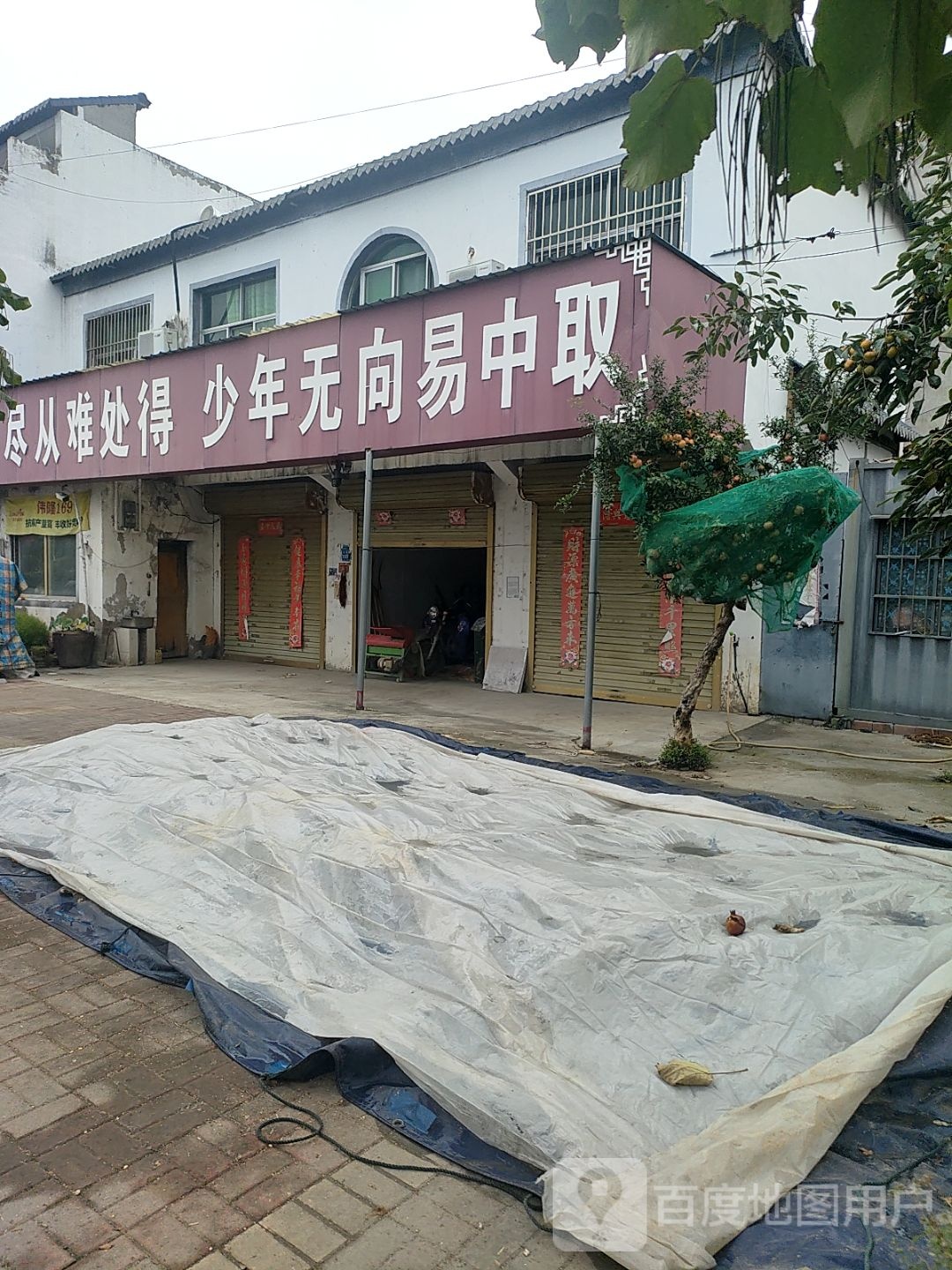 少年无向易中取