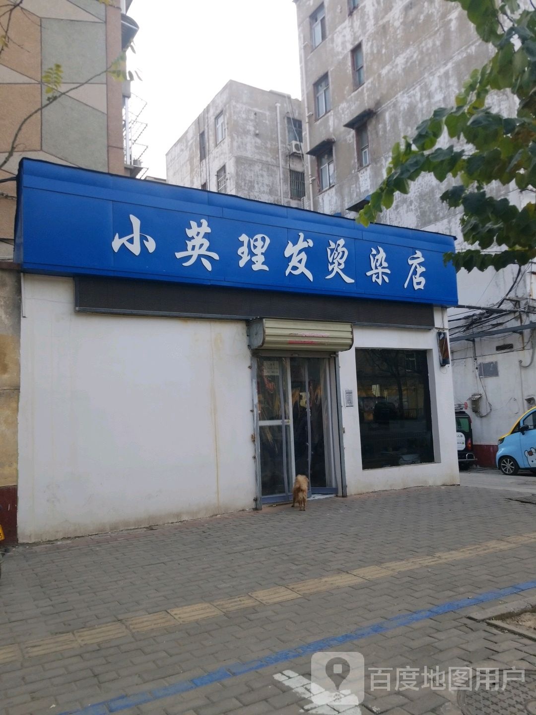 小英理发烫染店(议台路店)