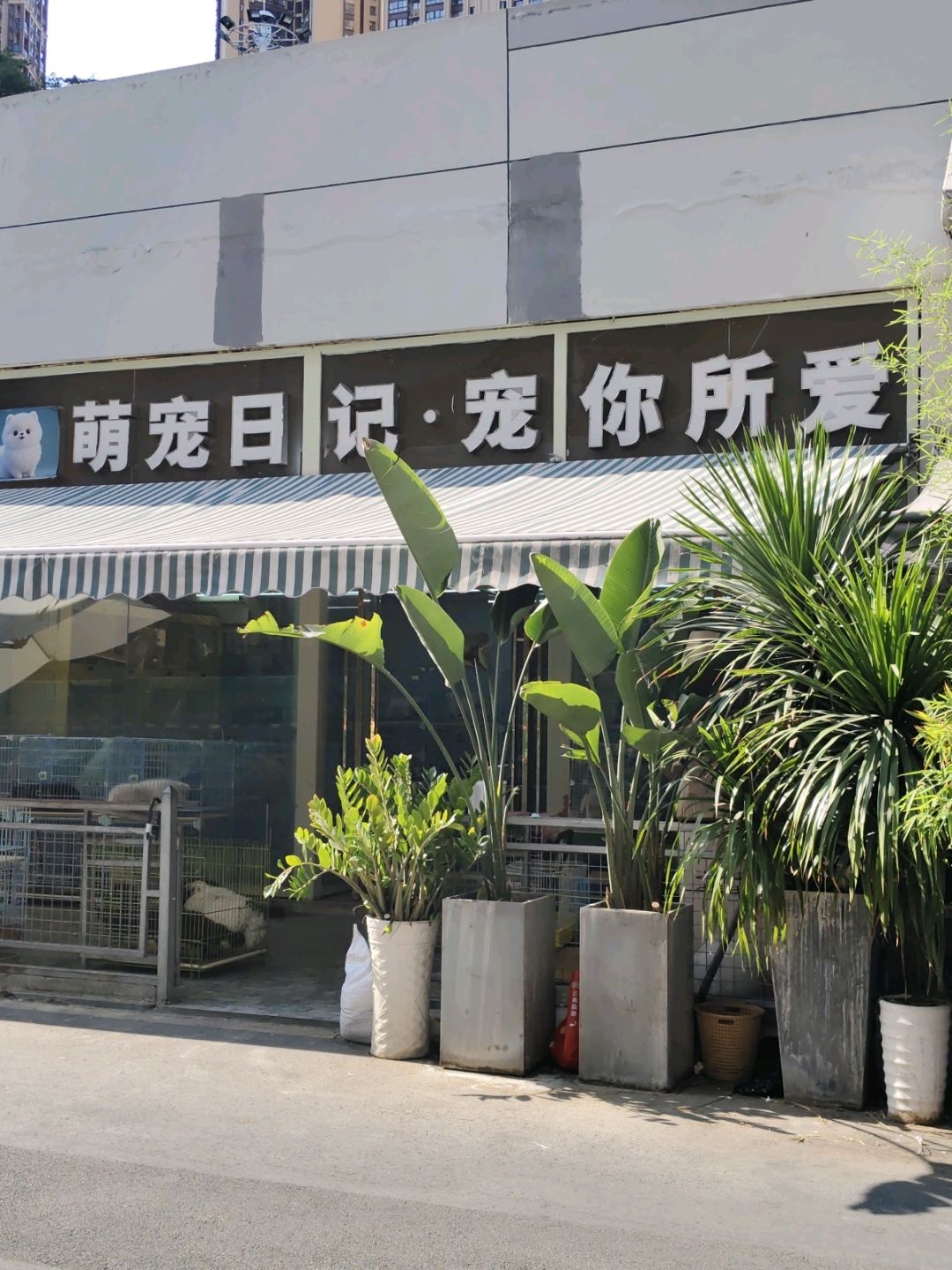 萌宠日记·宠你所爱(万达广场店)