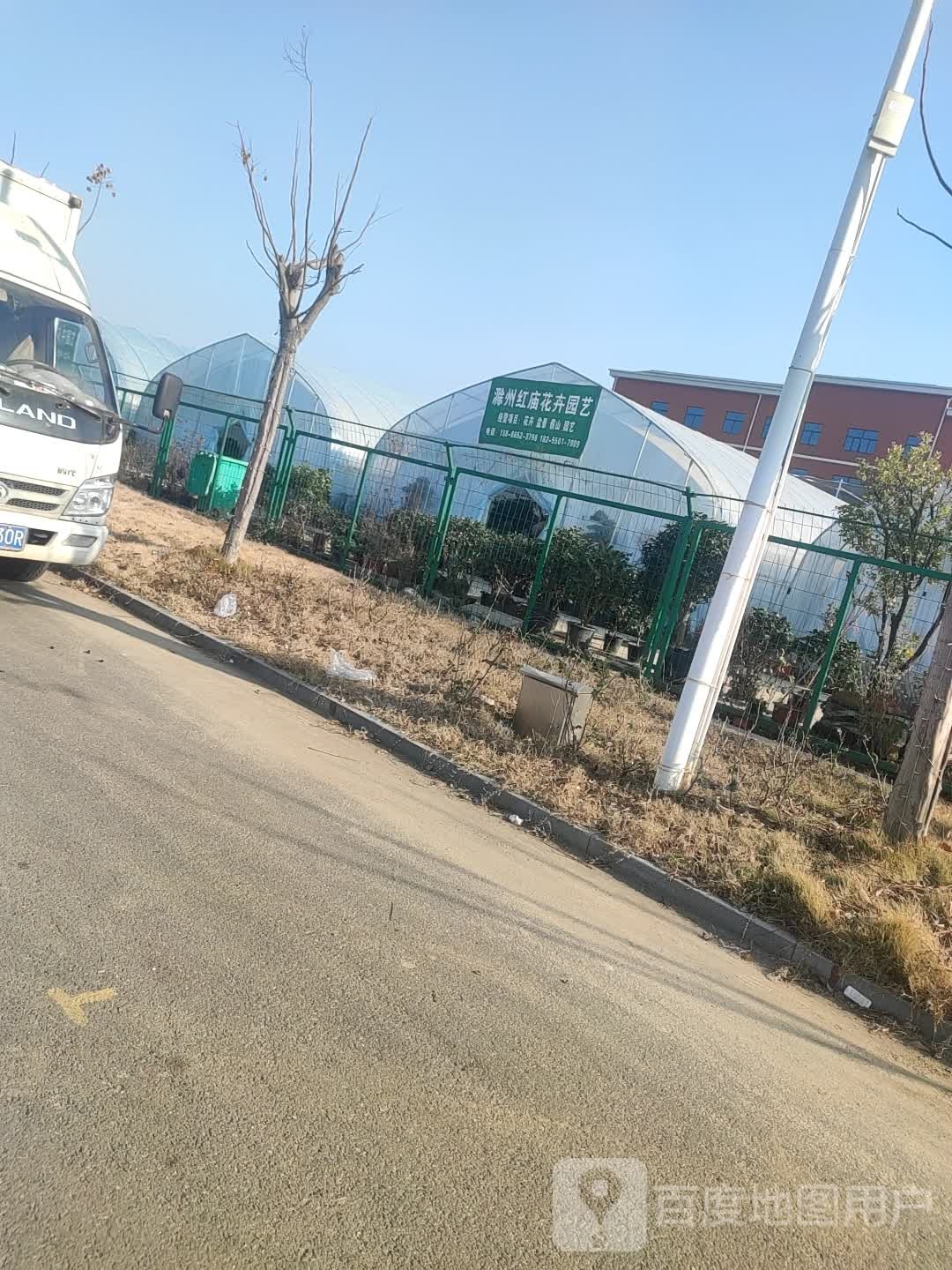 滁州红庙花卉园艺