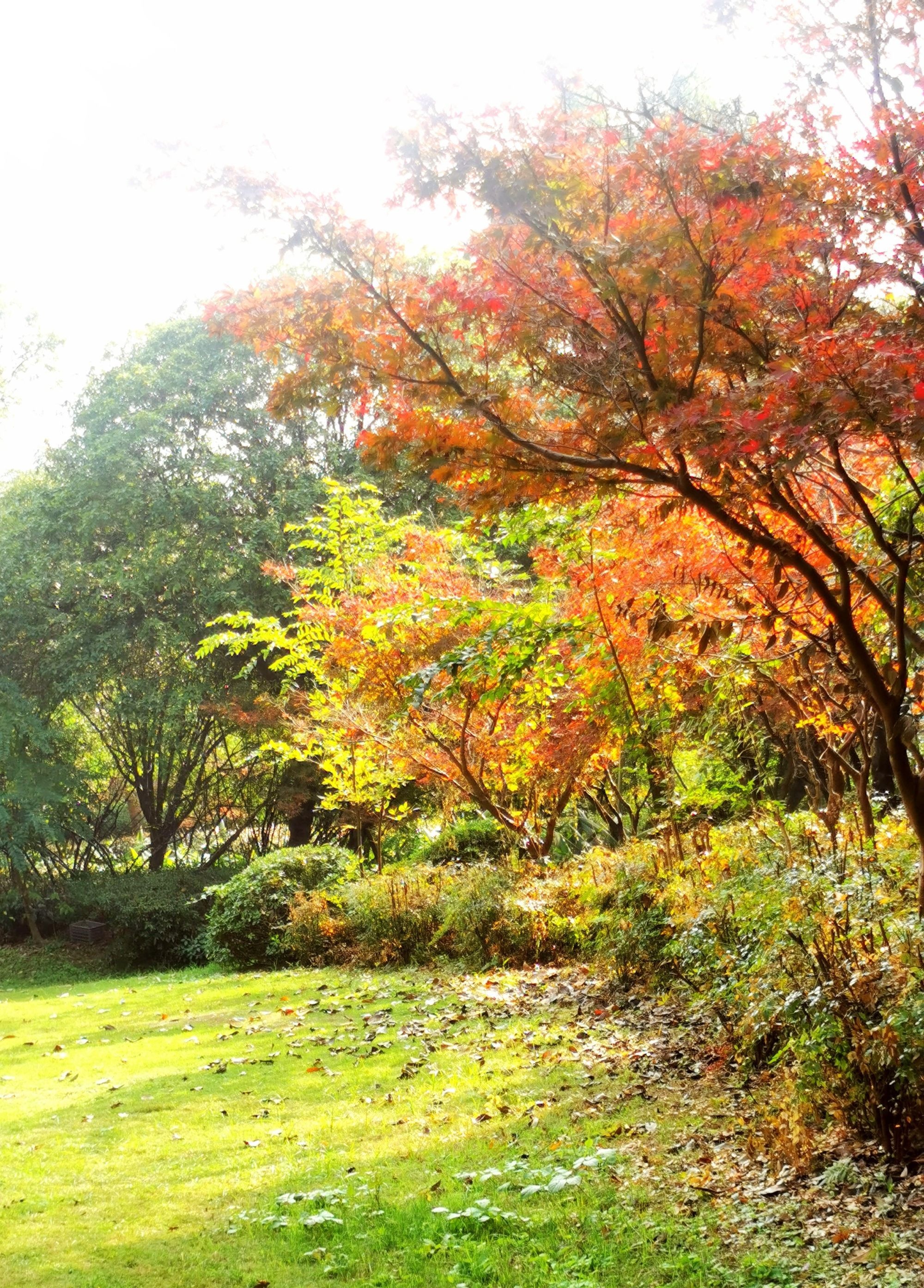 鸿恩寺公园