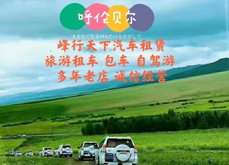 呼伦贝尔市车游天下气车租赁有限公司