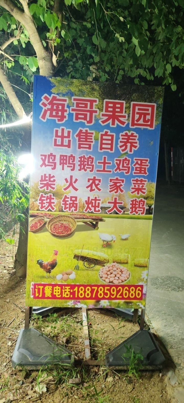海哥果园