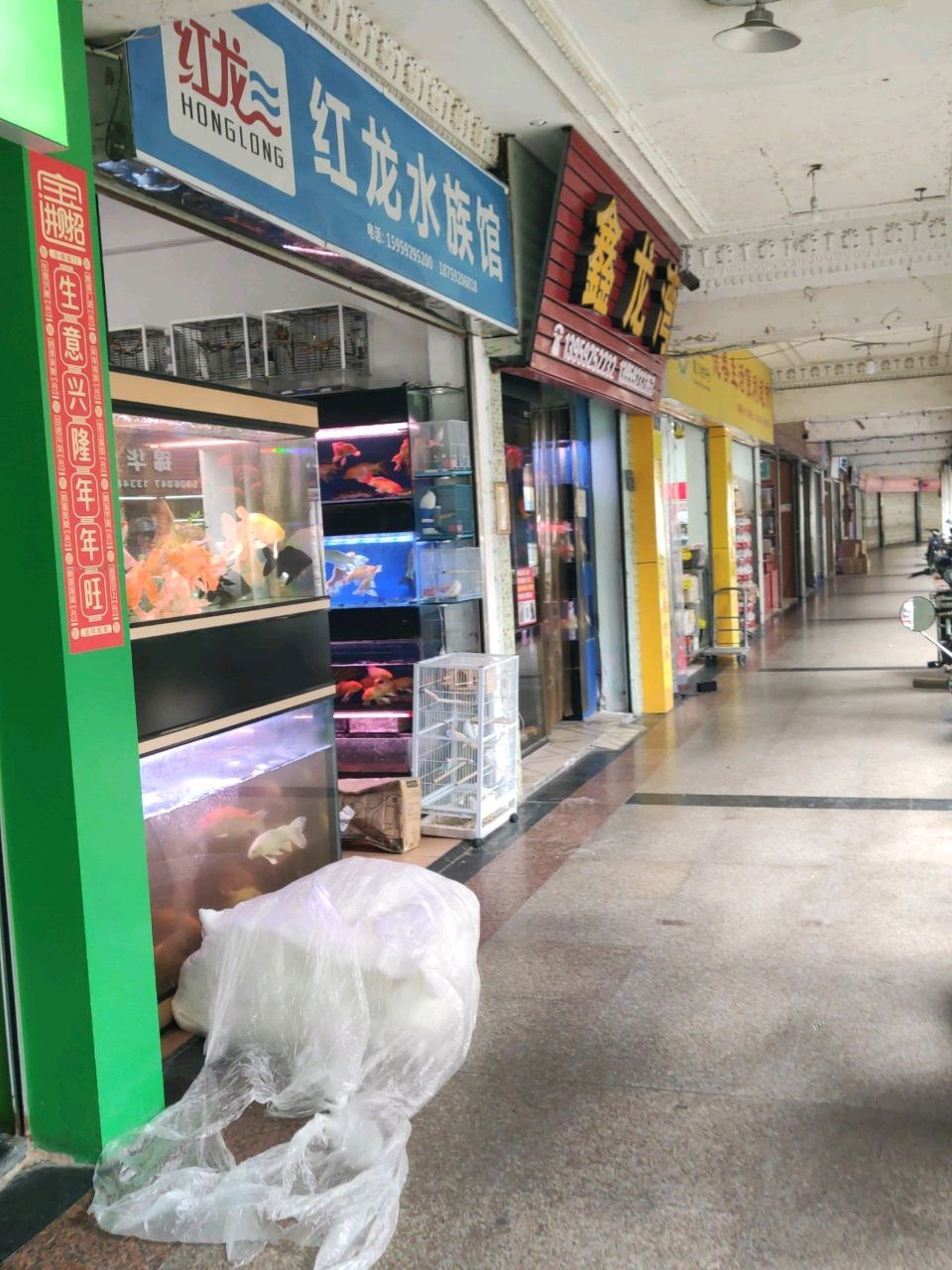 红龙水族馆(双涵路店)