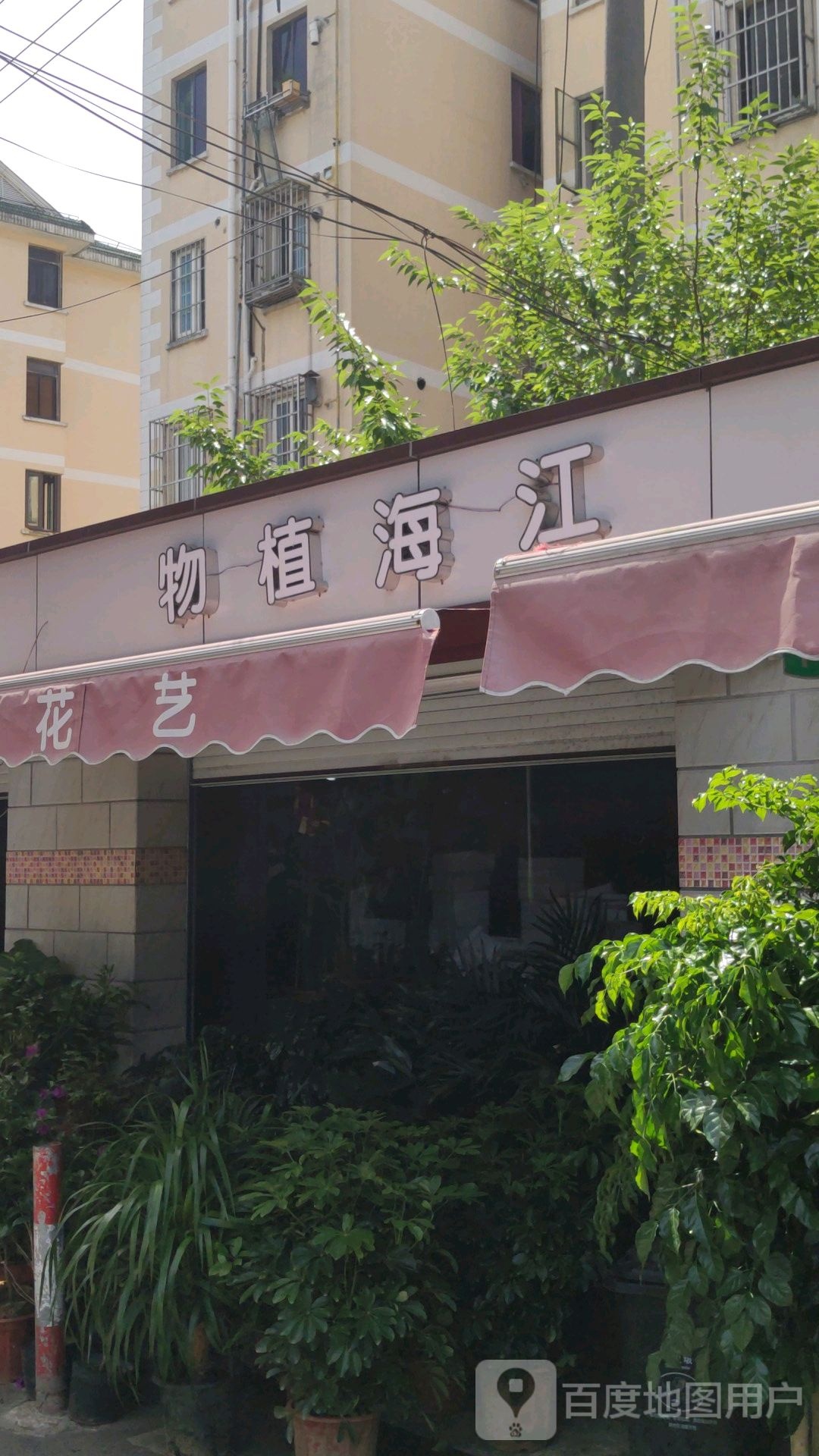 冮海植物