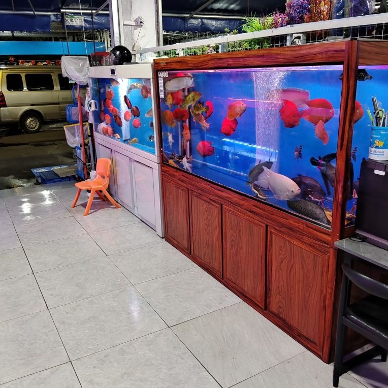 金怡萌宠水族馆(黄圃店)