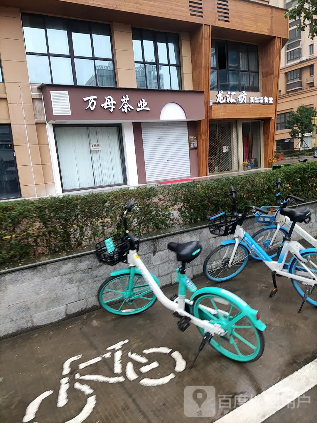 万母茶业
