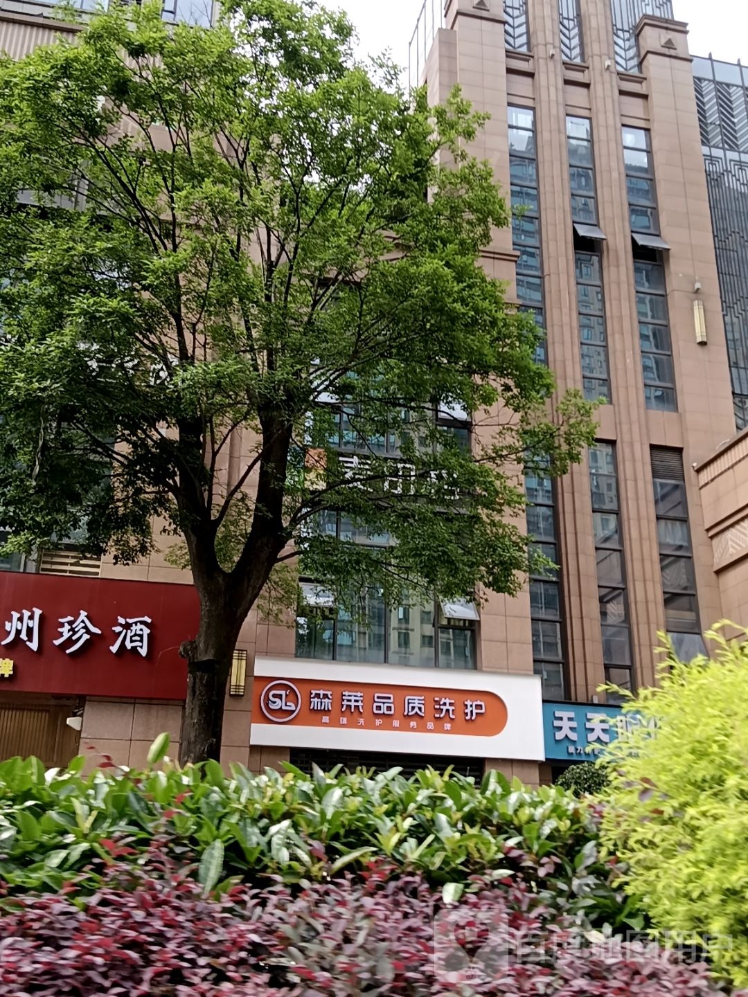 森莱品质洗护