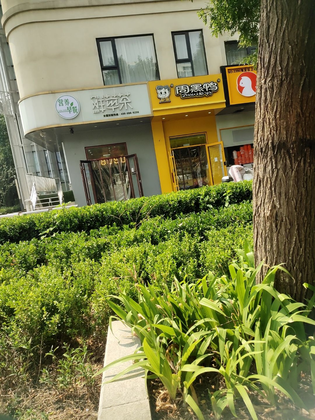 奶茶店(上地东路店)
