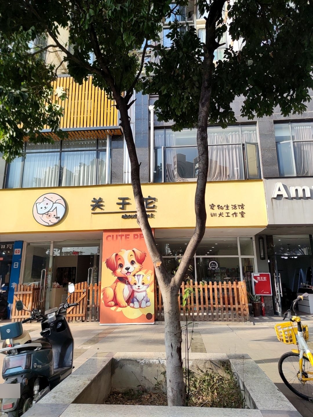 关于它宠物生活馆(凯丽景湖店)