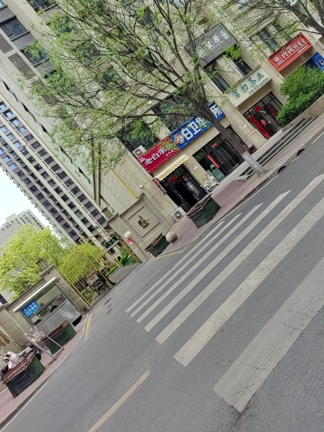 雲初茶业