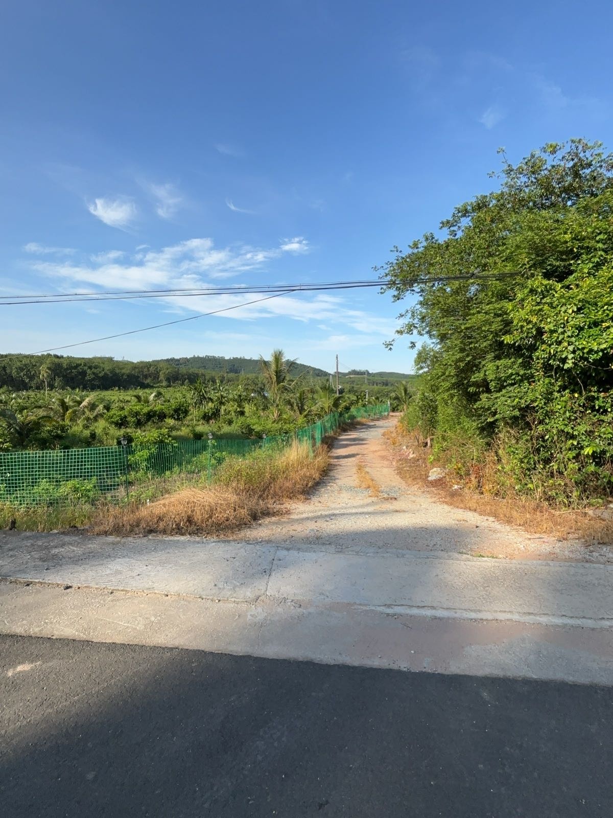 海南省琼中松涛祺顺水果种植场