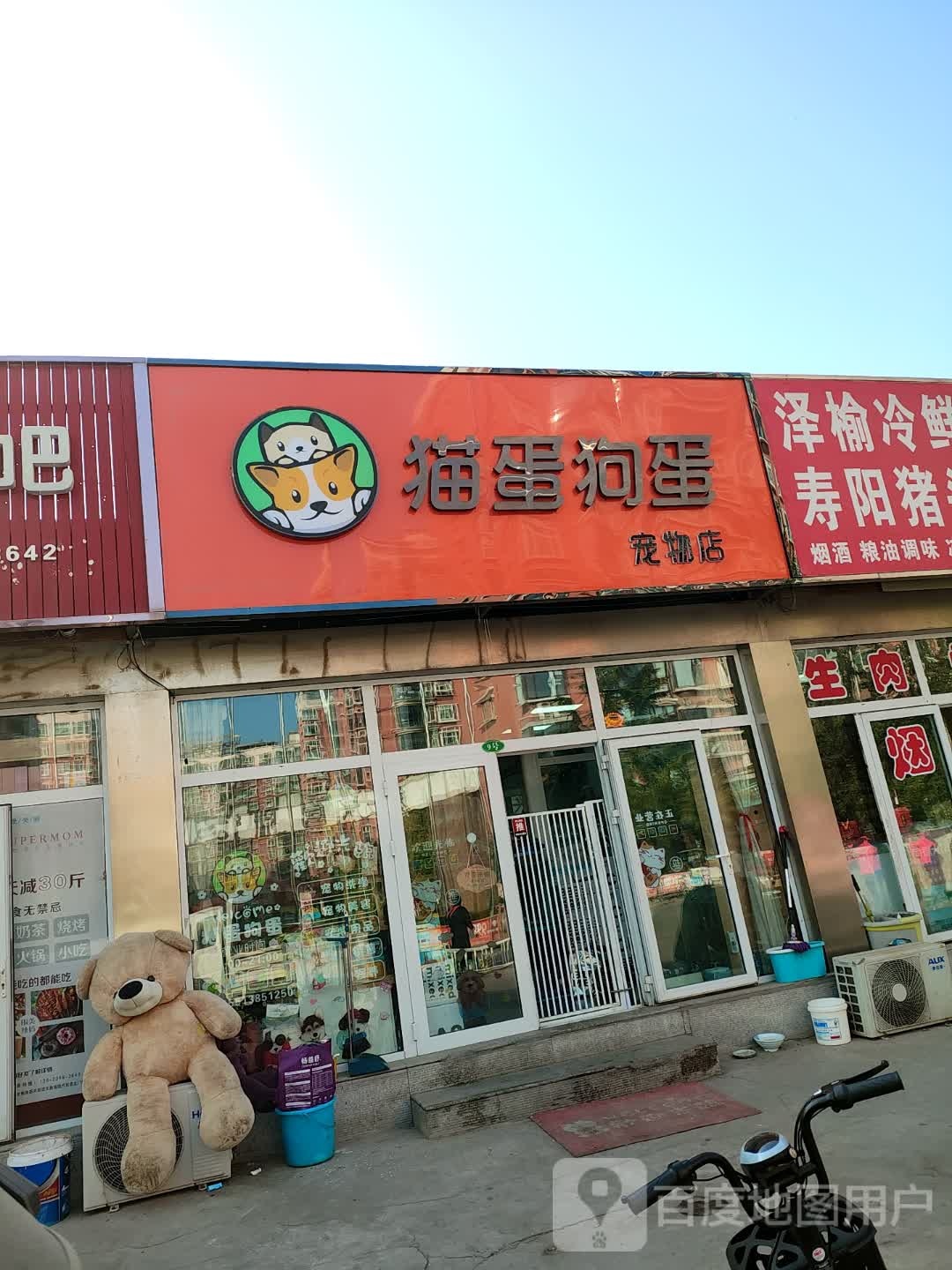 猫蛋狗蛋宠物店