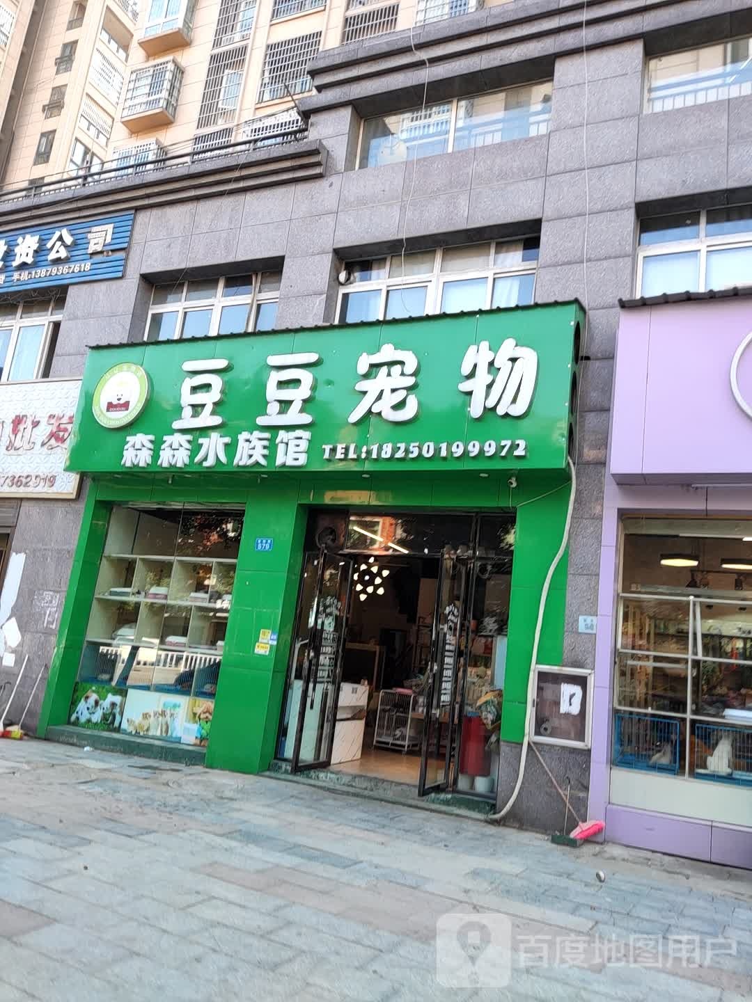 豆豆宠物店(紫阳路店)