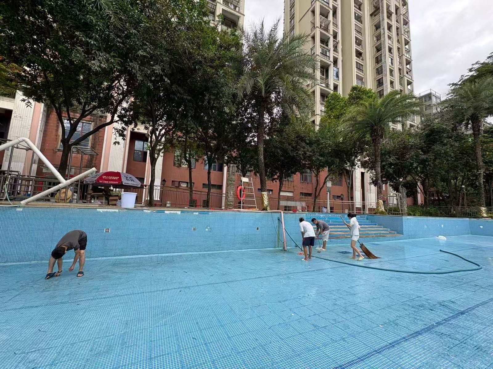 十二橡树庄园游泳池池