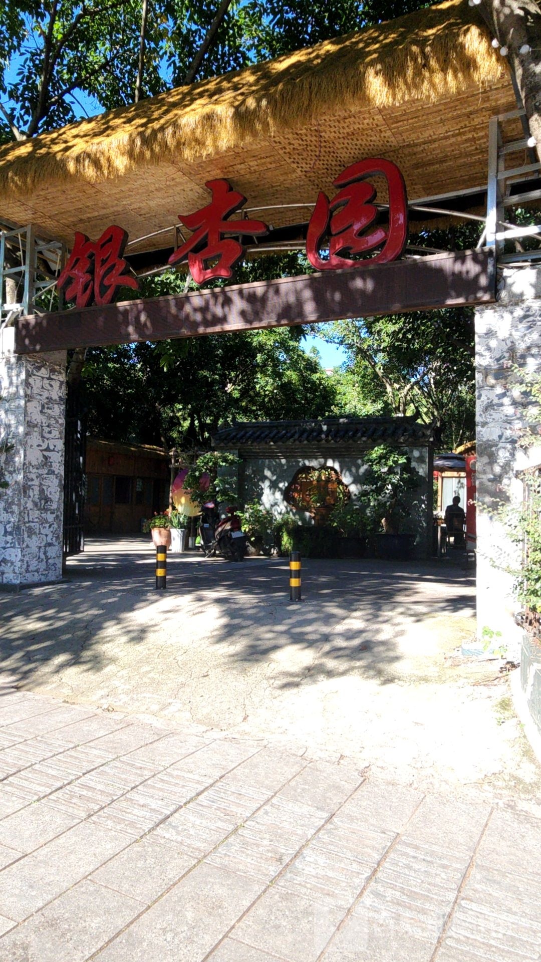 银杏园休闲广场