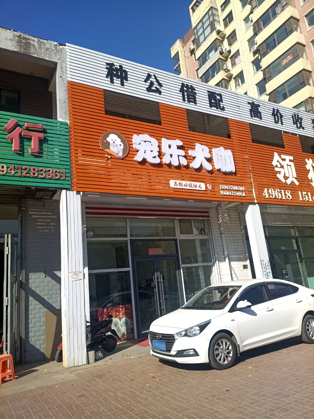 宠乐犬咖