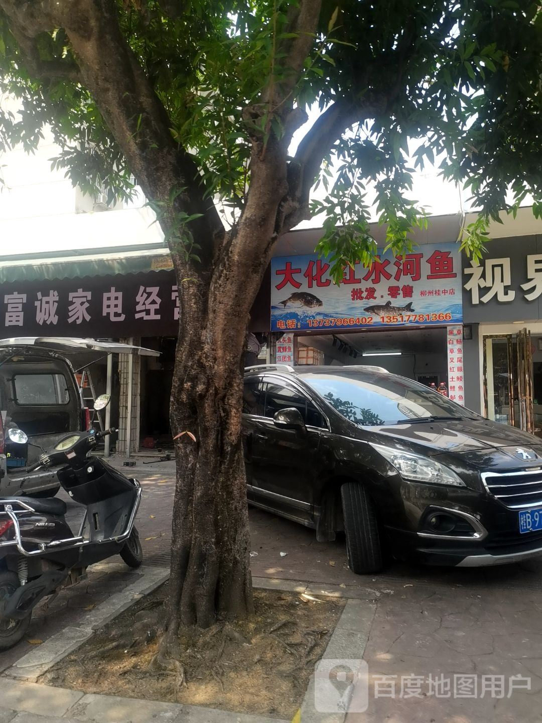 红水河鱼批发零售(柳州桂中店)