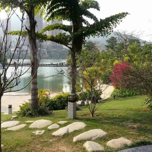 肖厝村