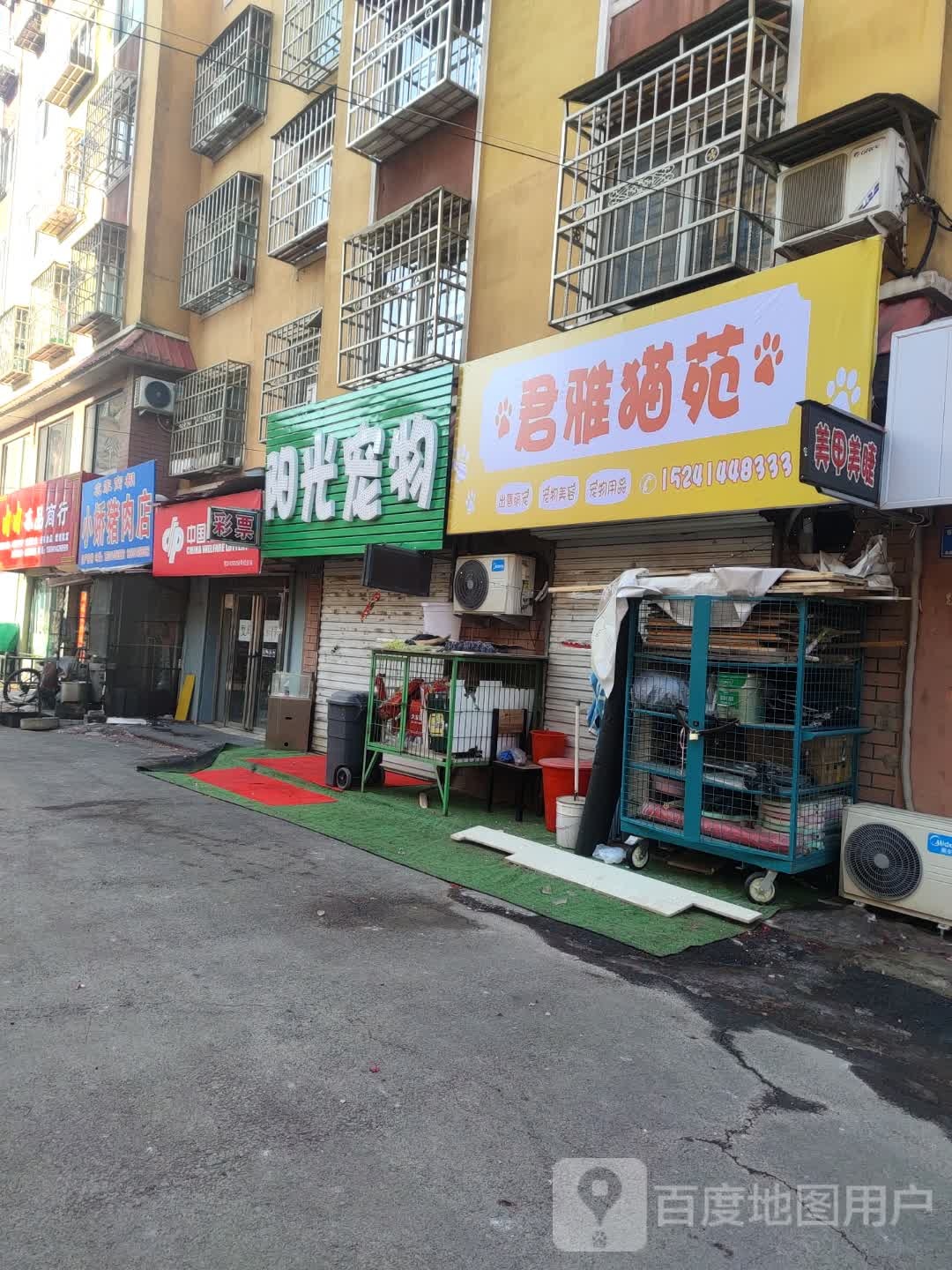 阳光宠物(春光路店)