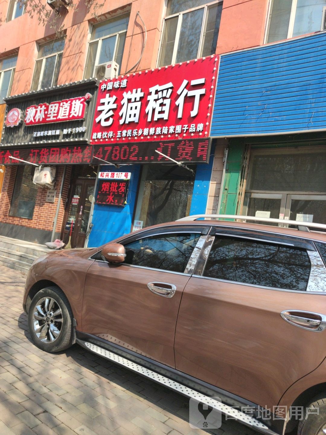 中国喂到老猫稻行