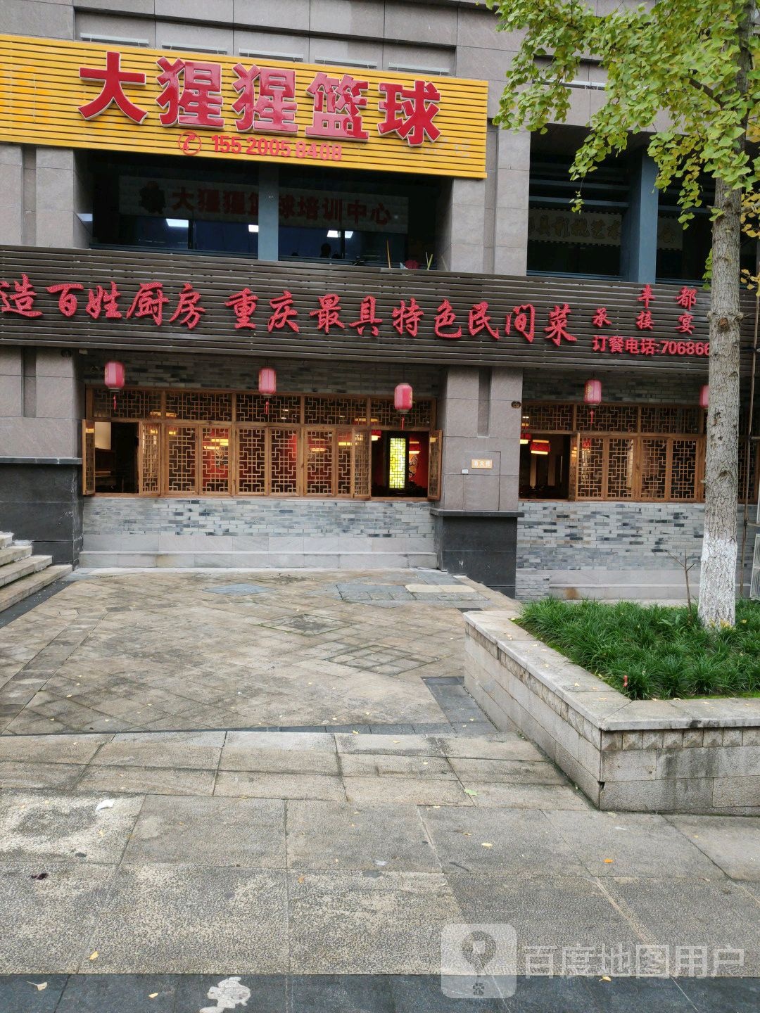 大猩猩篮球