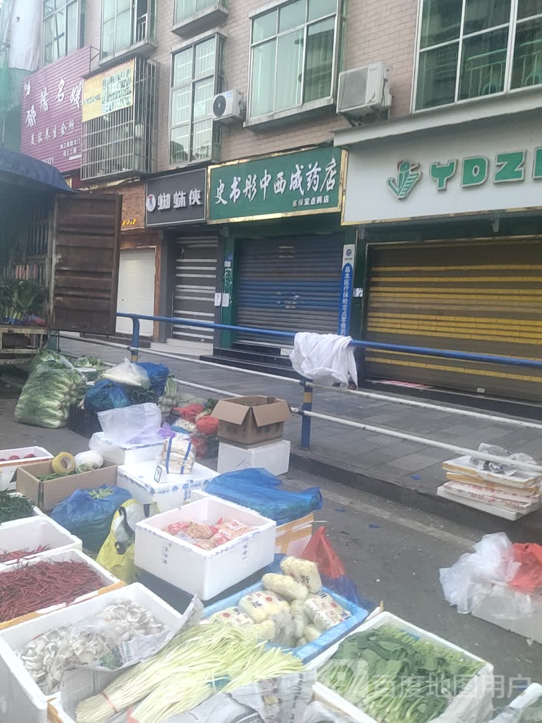 蜘蛛(滨河大街店)