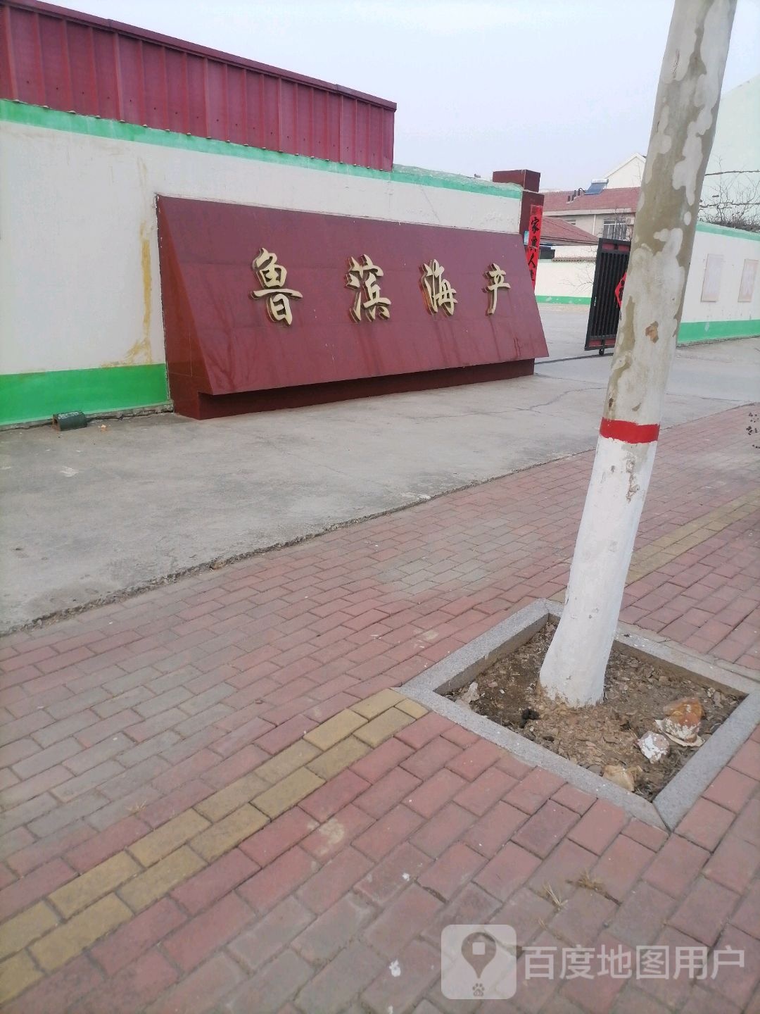 鲁滨海产