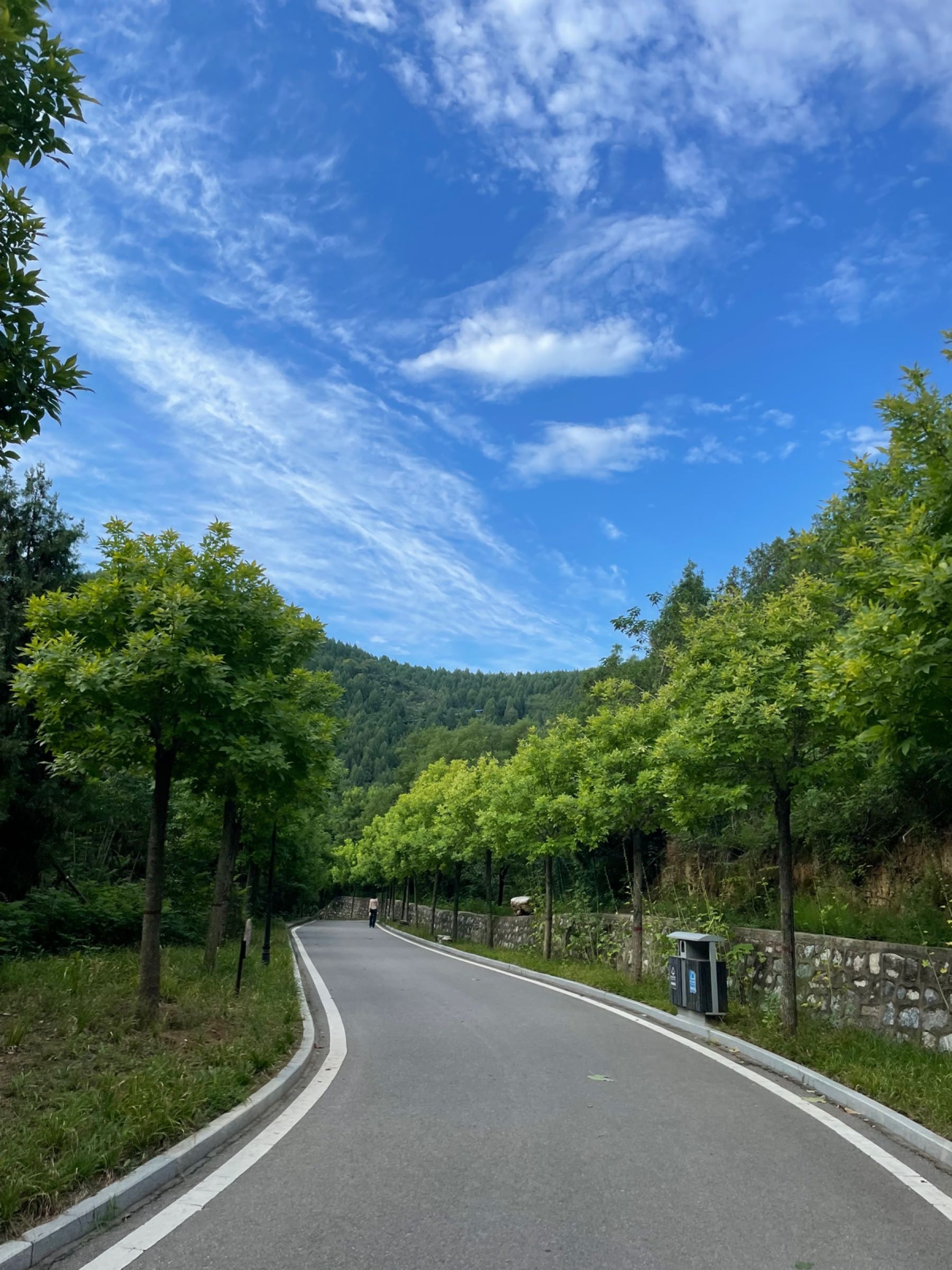 汉墓景区