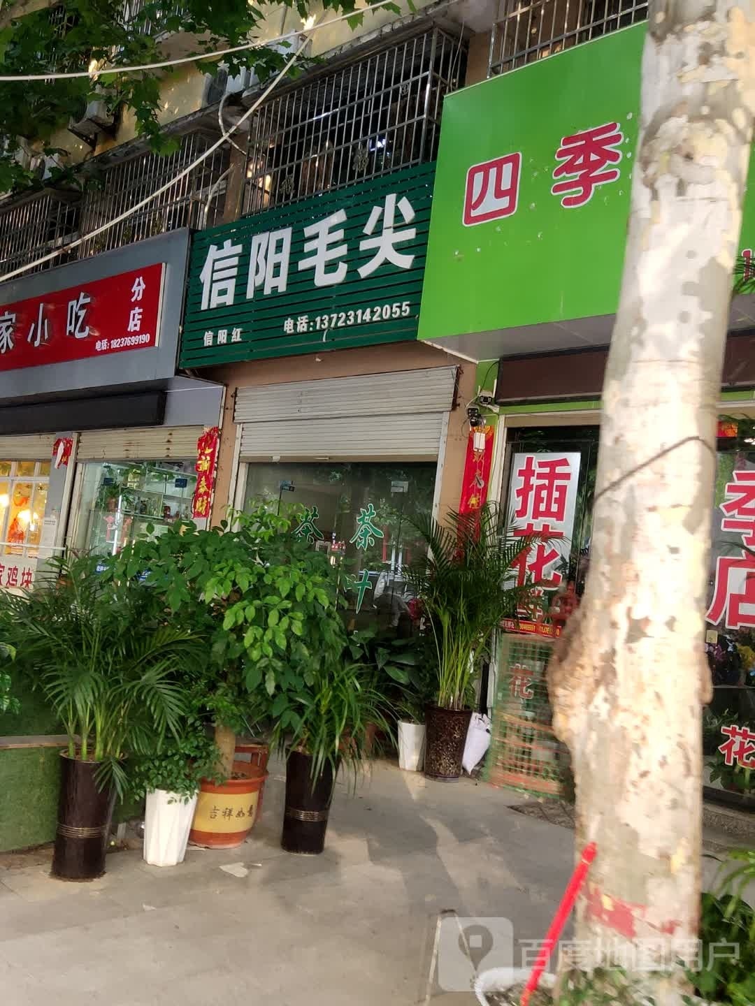 息县信阳毛尖(南大街店)