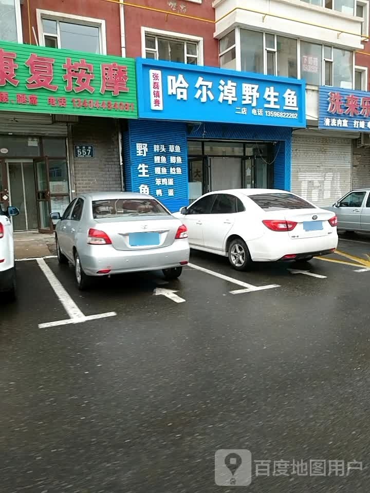 张磊镇赉哈尔淖野生鱼(二店)