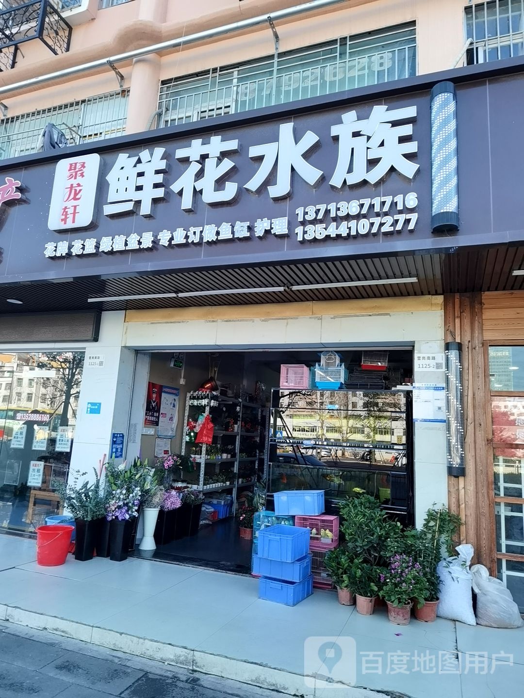 聚龙轩鲜花水族(万盛百货雪象店)