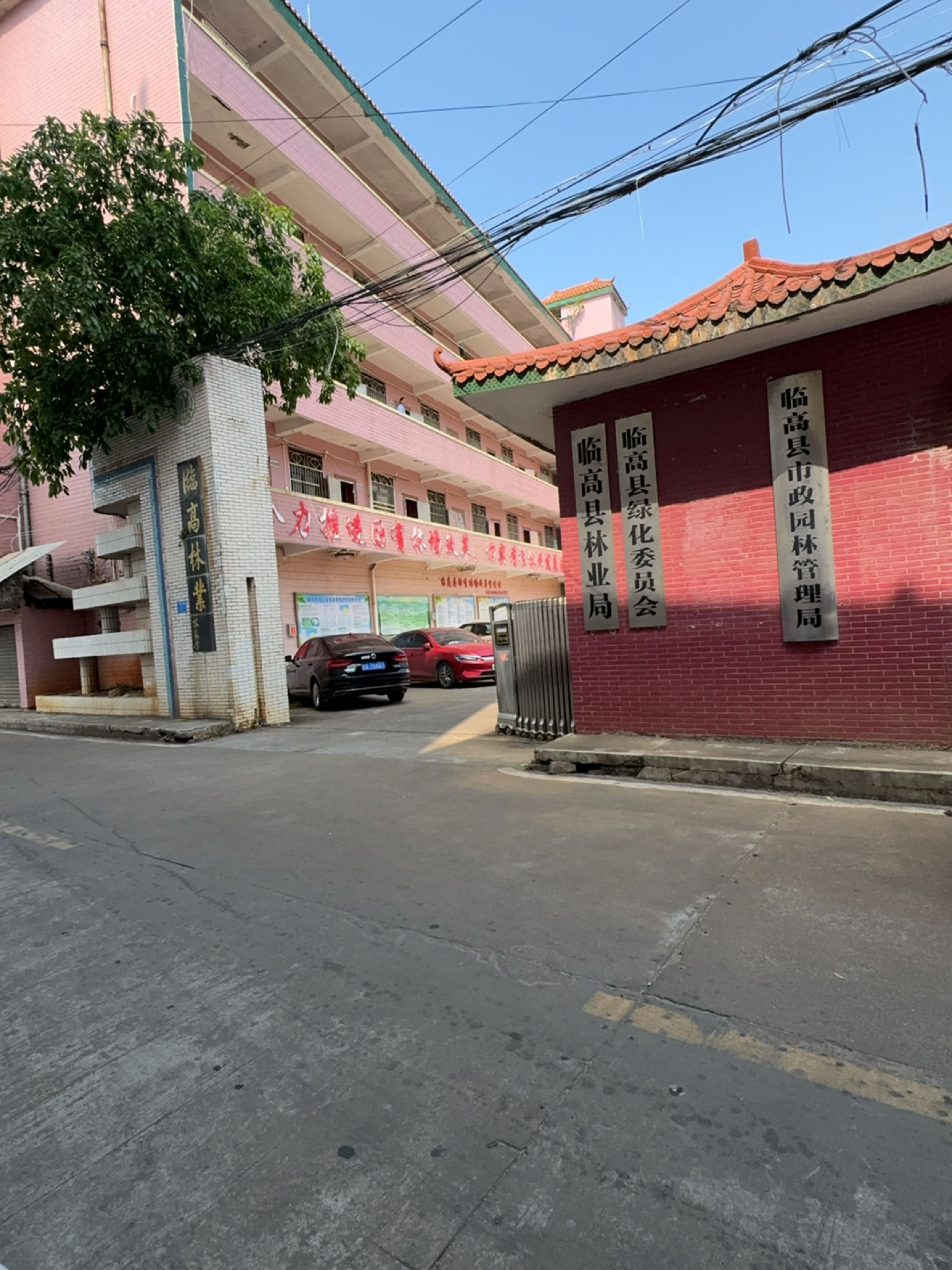 临高县林业局