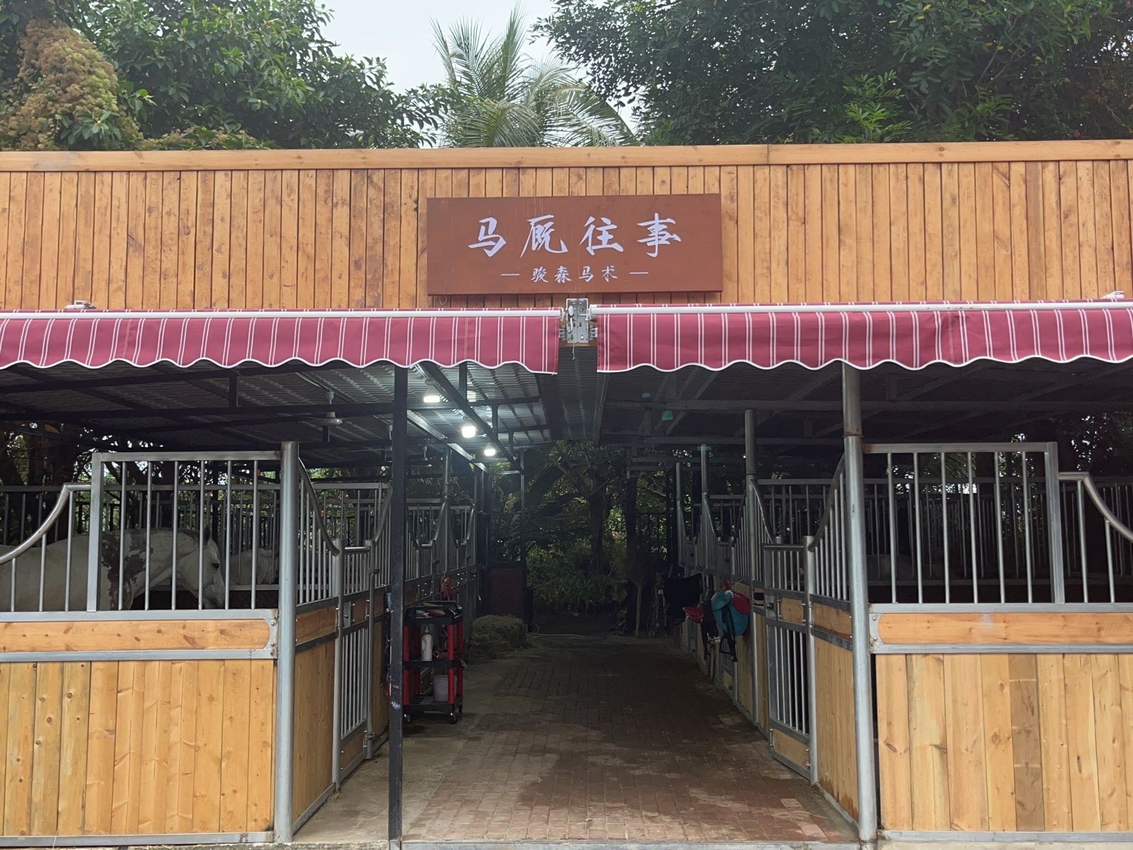 骏森马术