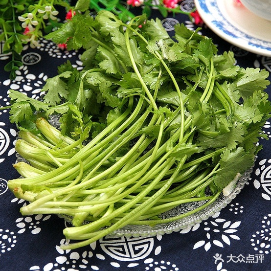 来成都肥肠鸡(丽江店)