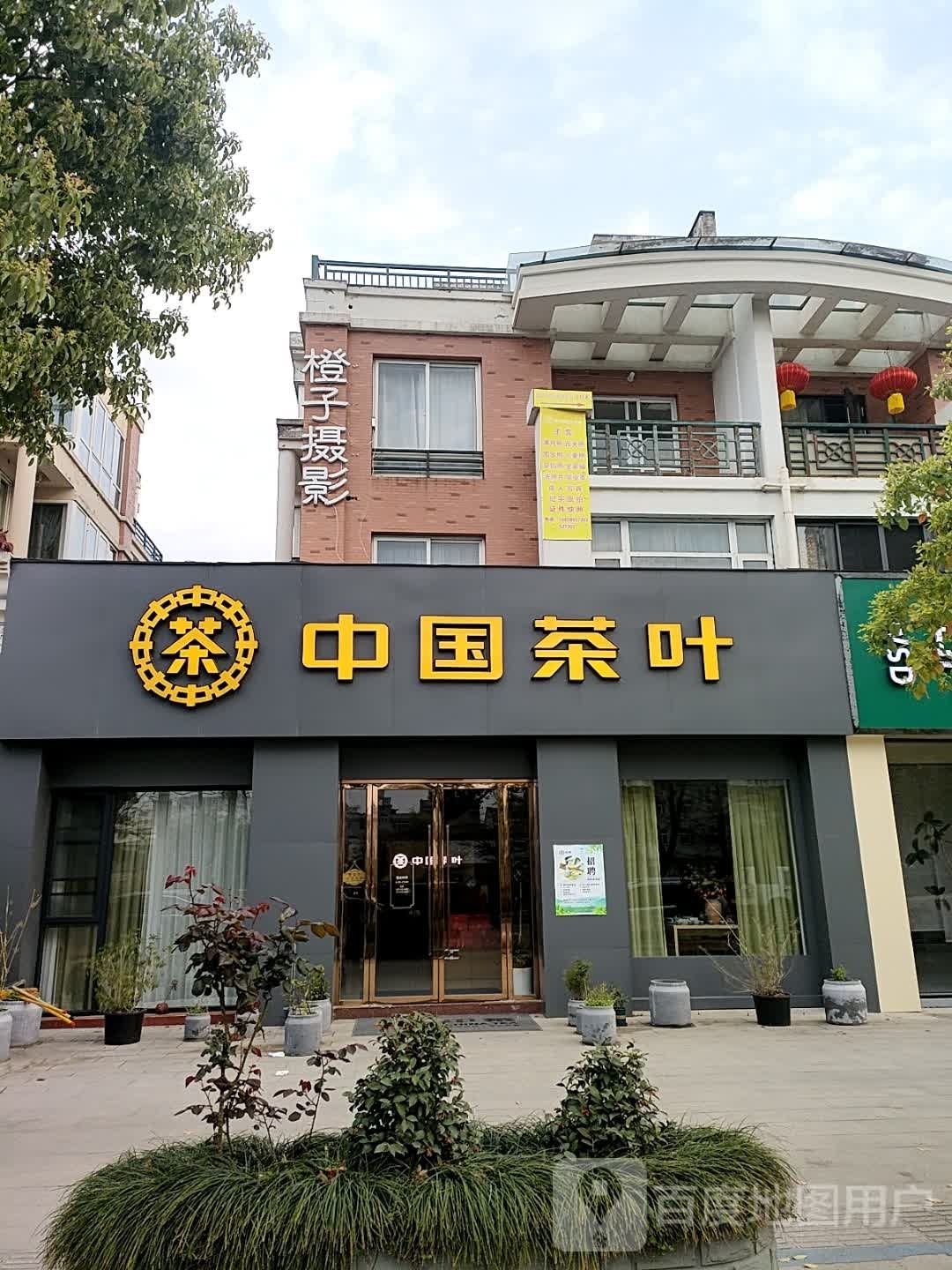 中国茶叶(中浙阳光都市花园店)