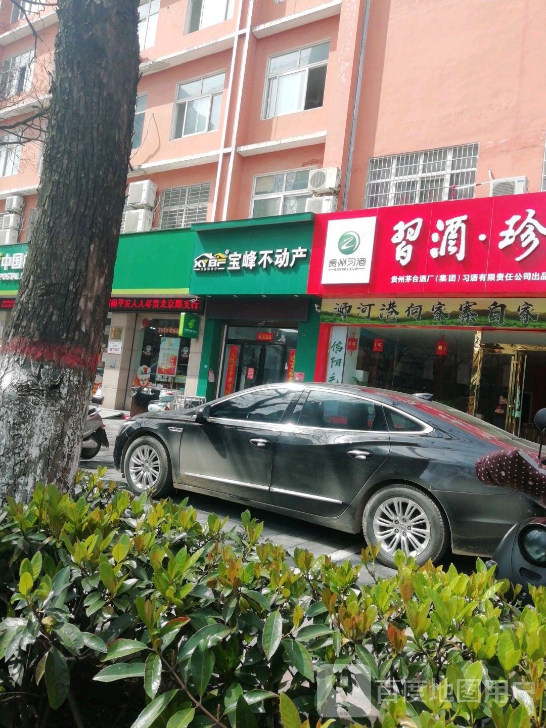 贵州习酒(北京大街北段店)